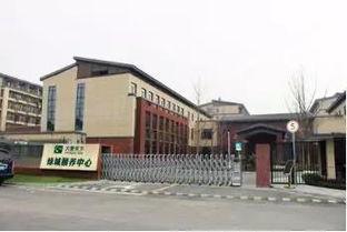国产精品社区,打造本土文化新阵地，共筑网络家园梦
